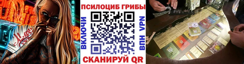 Галлюциногенные грибы Cubensis  хочу   маркетплейс наркотические препараты  Щучье 